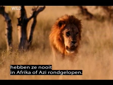 ondertiteling leesteken fout