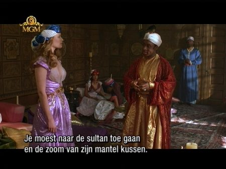 voorbeeld DVB ondertiteling