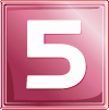 net5 logo